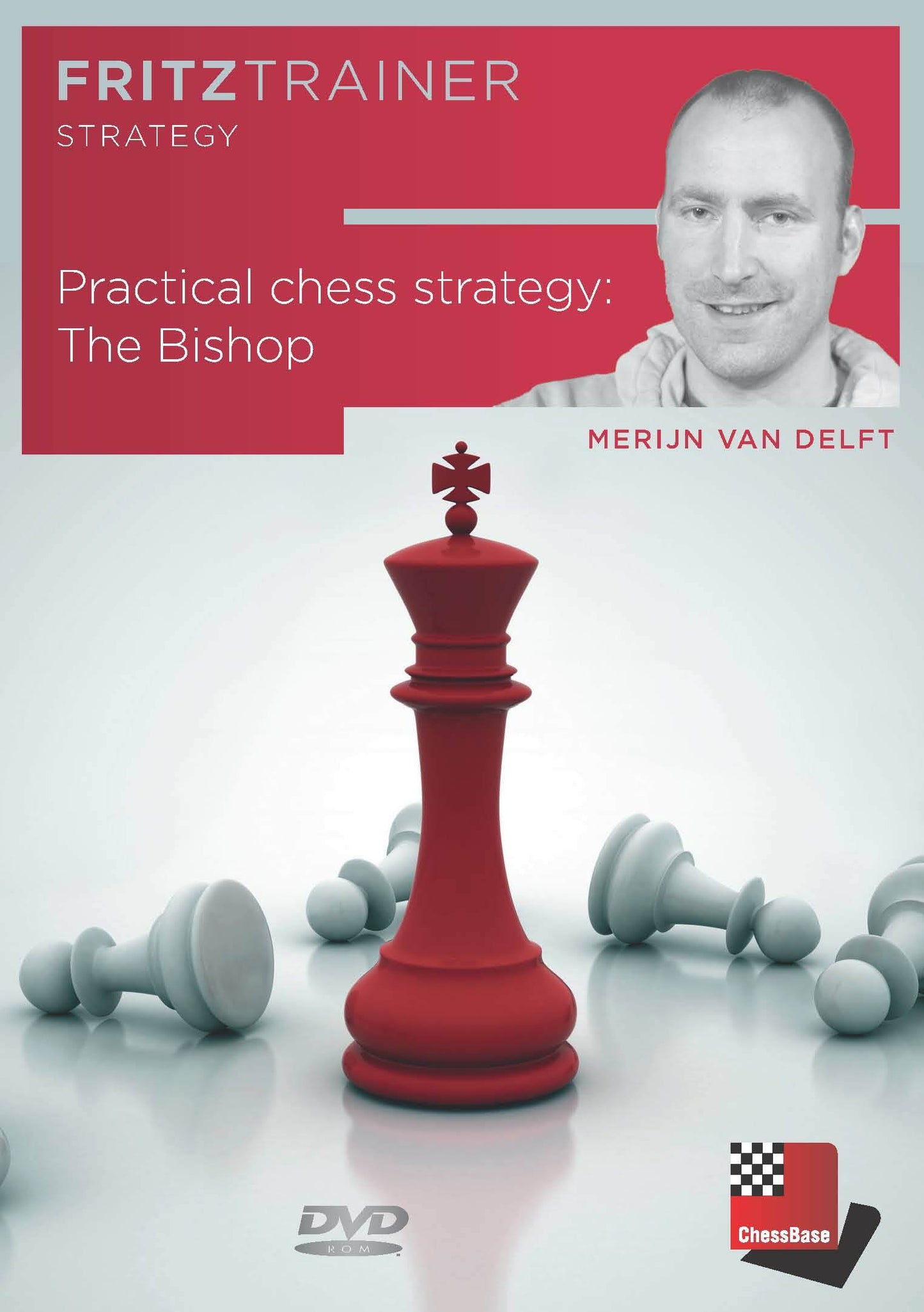 Practical chess strategy: The Bishop By Merijn van Delft