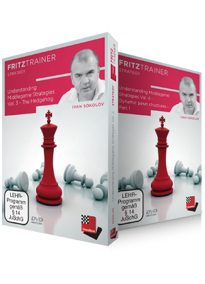 Understanding Middlegame Strategies Vol.3 und 4 - The Hedgehog/Dynamic pawn structures by Ivan Sokolov