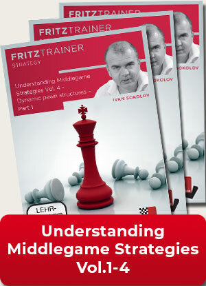 Understanding Middlegame Strategies Vol.1-4 by Ivan Sokolov