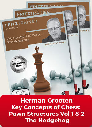 Key Concepts of Chess - Pawn Structures Vol.1 & 2 and The Hedgehog by Herman Grooten