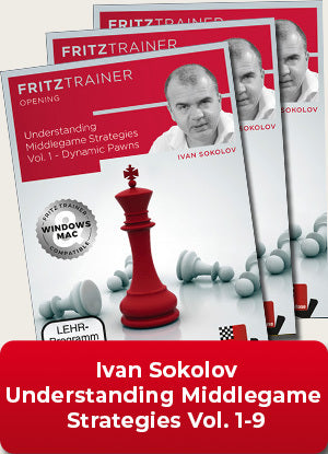 Understanding Middlegame Strategies Vol.1 - 9 by Ivan Sokolov