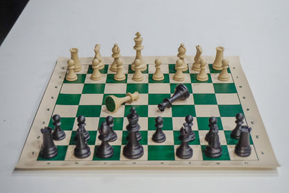 ChessBase India Mini Chess Set