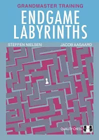 Endgame Labyrinths by Jacob Aagaard and Steffen Nielsen (Hardcover)