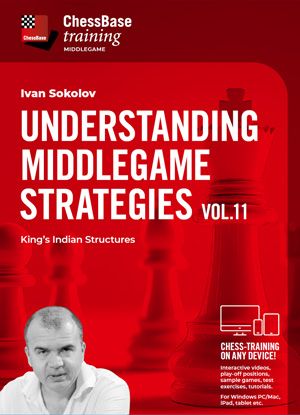 Understanding Middlegame Strategies Vol.11 - King's Indian Structures by  Ivan Sokolov